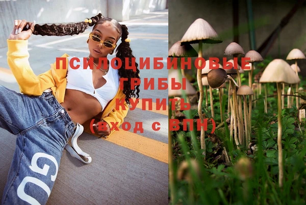 apvp Михайловка