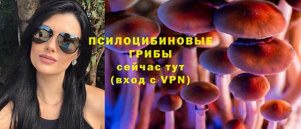 альфа пвп Михайлов