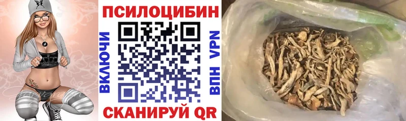 Галлюциногенные грибы мицелий  Цоци-Юрт 